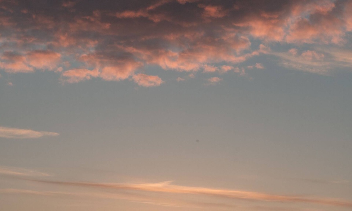 Bilsington Cabin | Dog Friendly Shepherd's Hut, Perfect for Couples