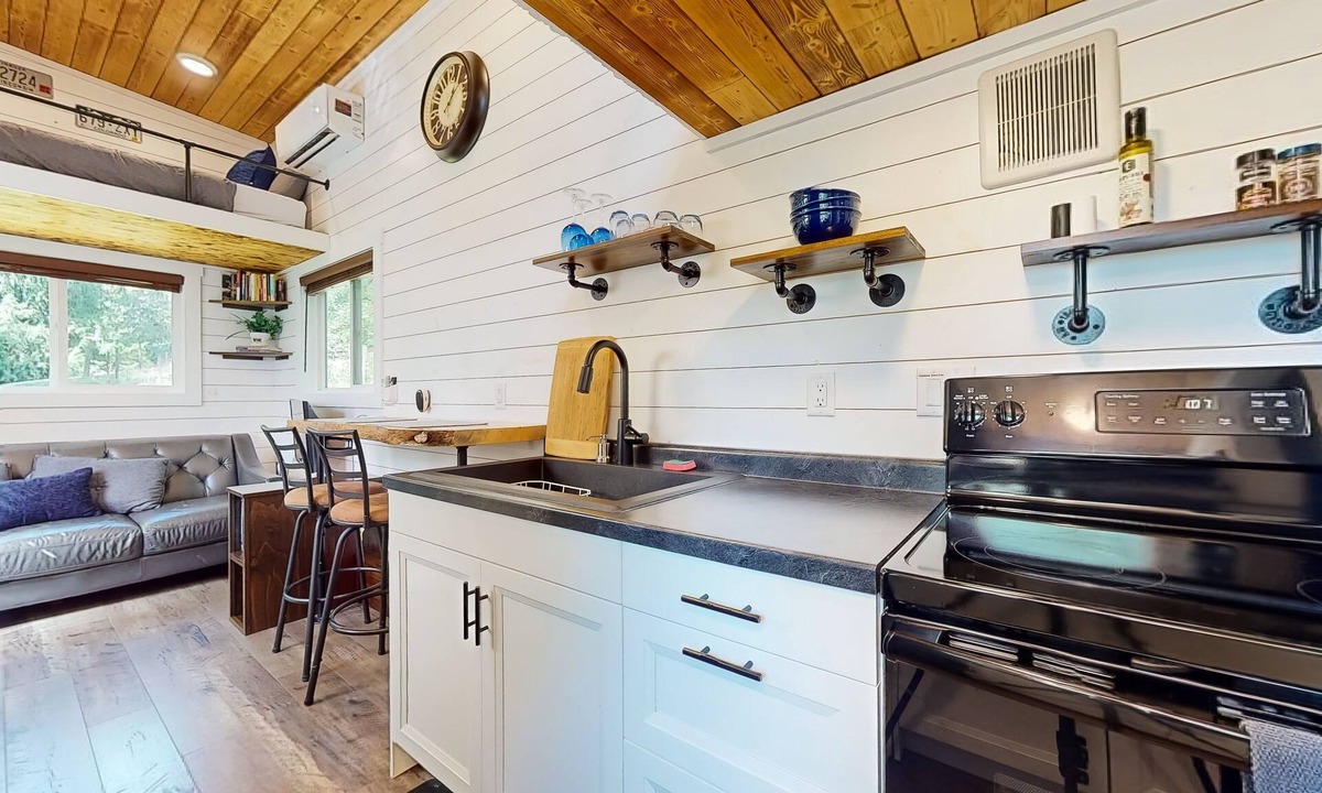Mirrormont Apartment | Dog-friendly tiny home with a patio, full kitchen, & TV