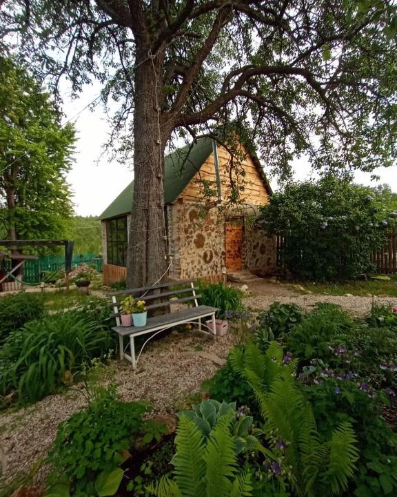 Burnashevo House | Дом в Ольховке