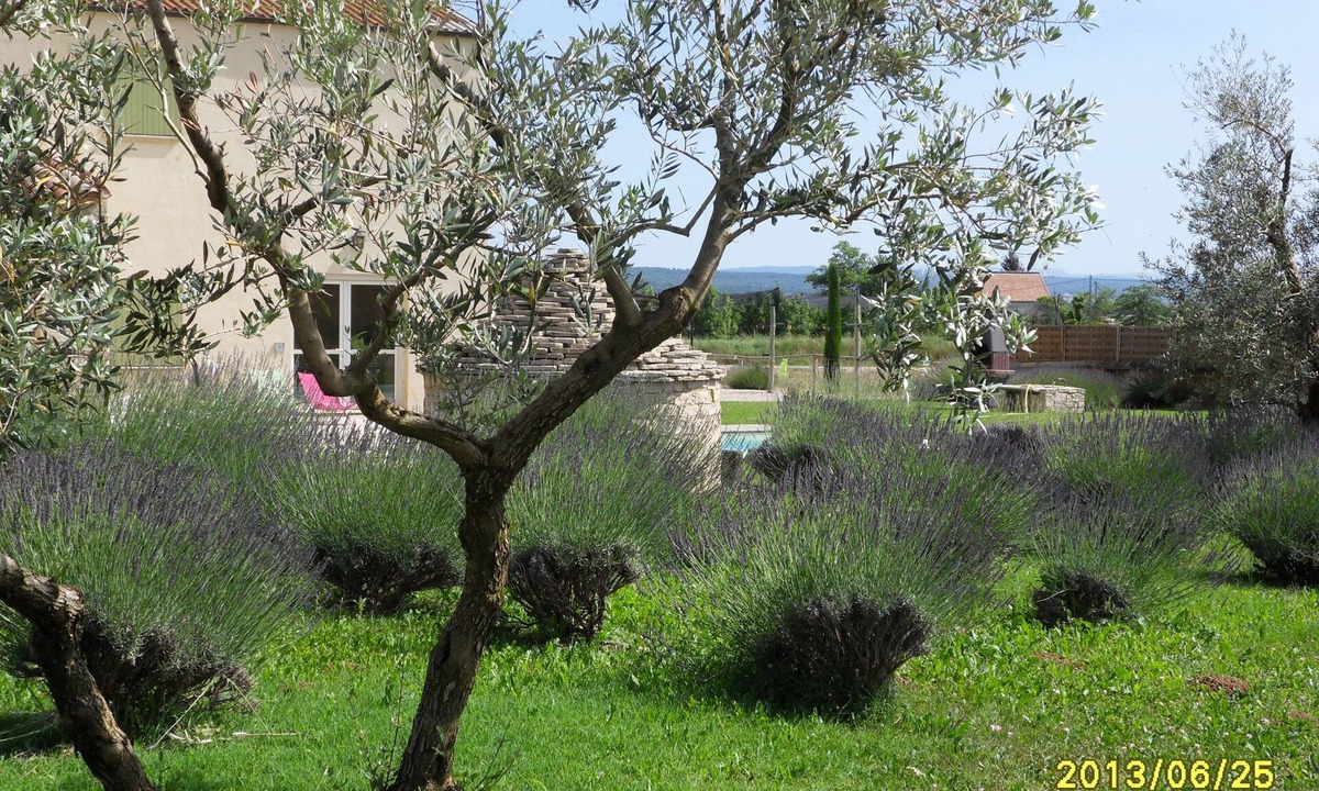 Manosque Other | Domain of Bouteille en Luberon