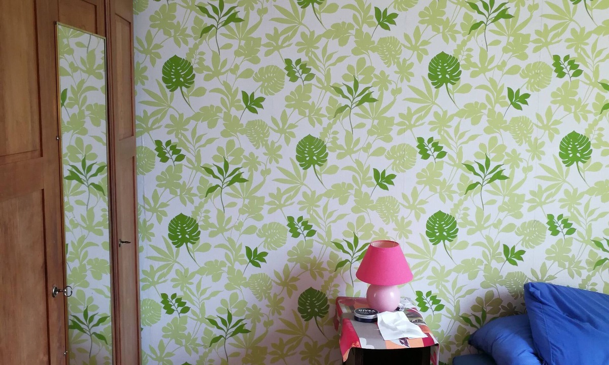 Nord-Saint-Martin Bed & Breakfast | Domaine au Charme des Plantes