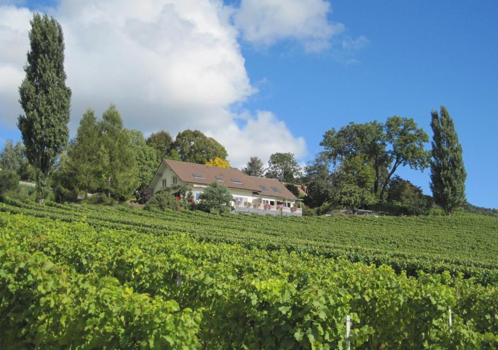 Essertines-sur-Rolle House | Domaine Beauregard