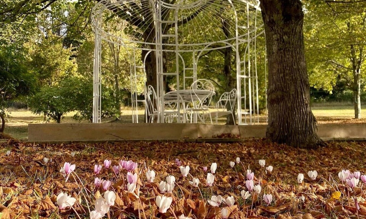 Mirepoix Other | Domaine de Bize