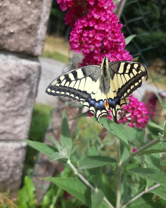 Combressol Apartment | Domaine de Feix
