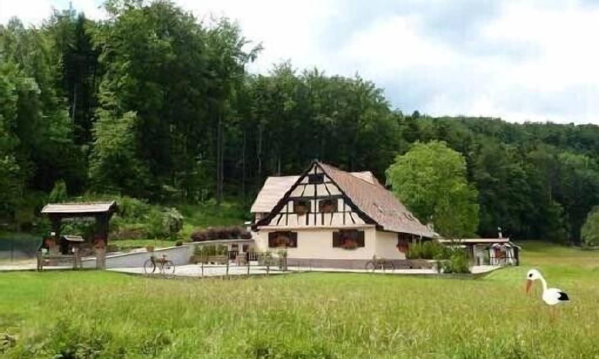 Wangenbourg-Engenthal Cottage | Domaine de la Mossig