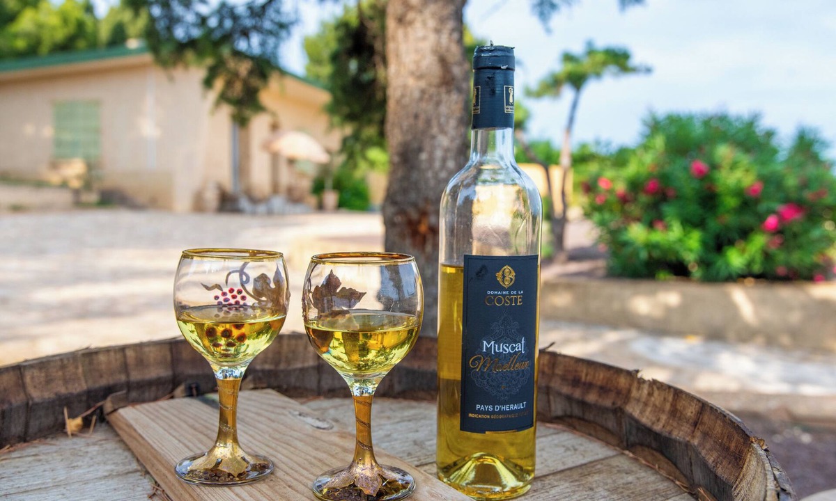 Frontignan House | Domaine de la Coste