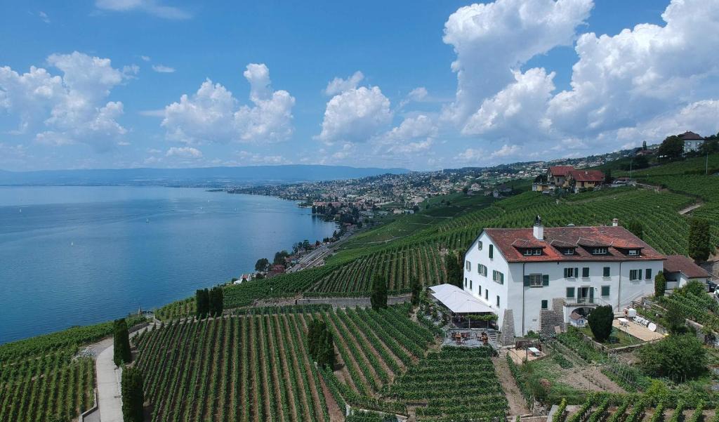 Grandvaux Apartment | Domaine de la Crausaz