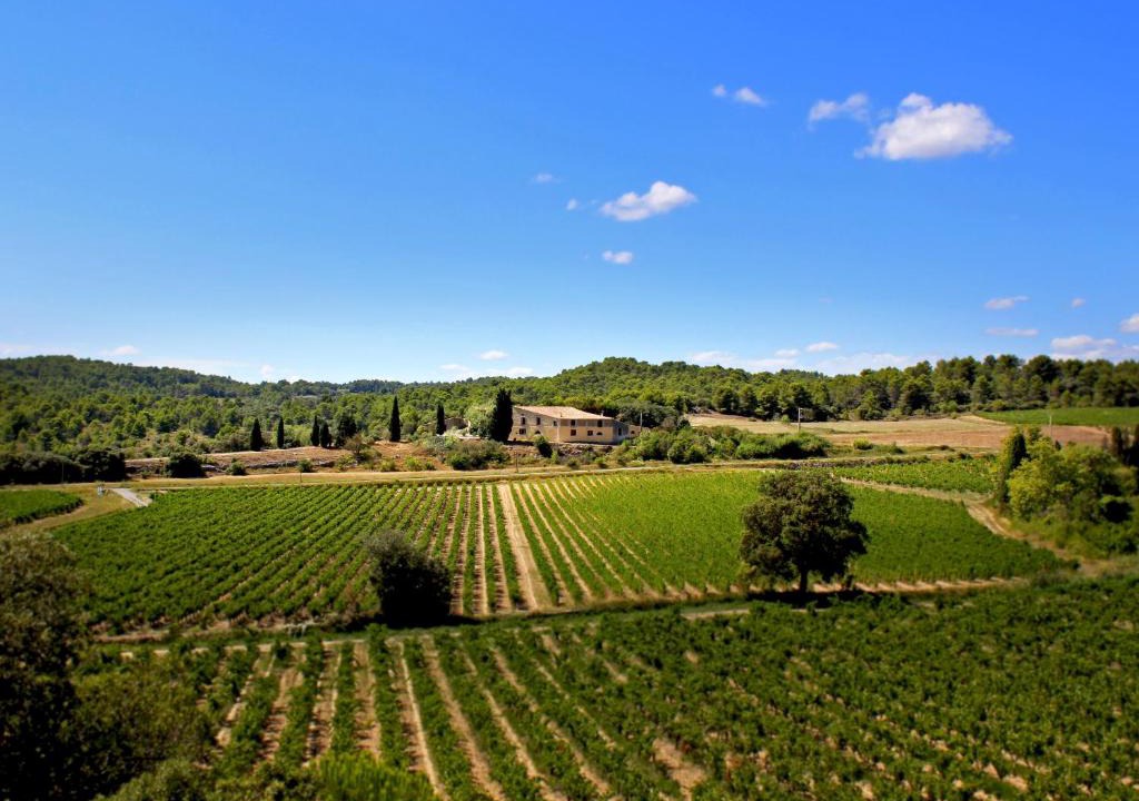 Laure-Minervois House | Domaine de Palats