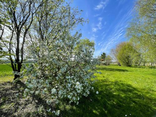 Tugeras Saint Maurice House | Domaine des Anes - Gîtes et Roulotte