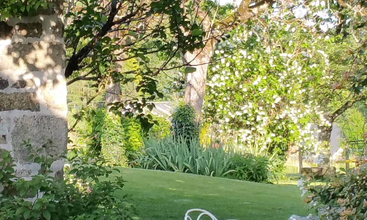 Saint-Martial de Gimel Bed & Breakfast | Domaine du Salabert