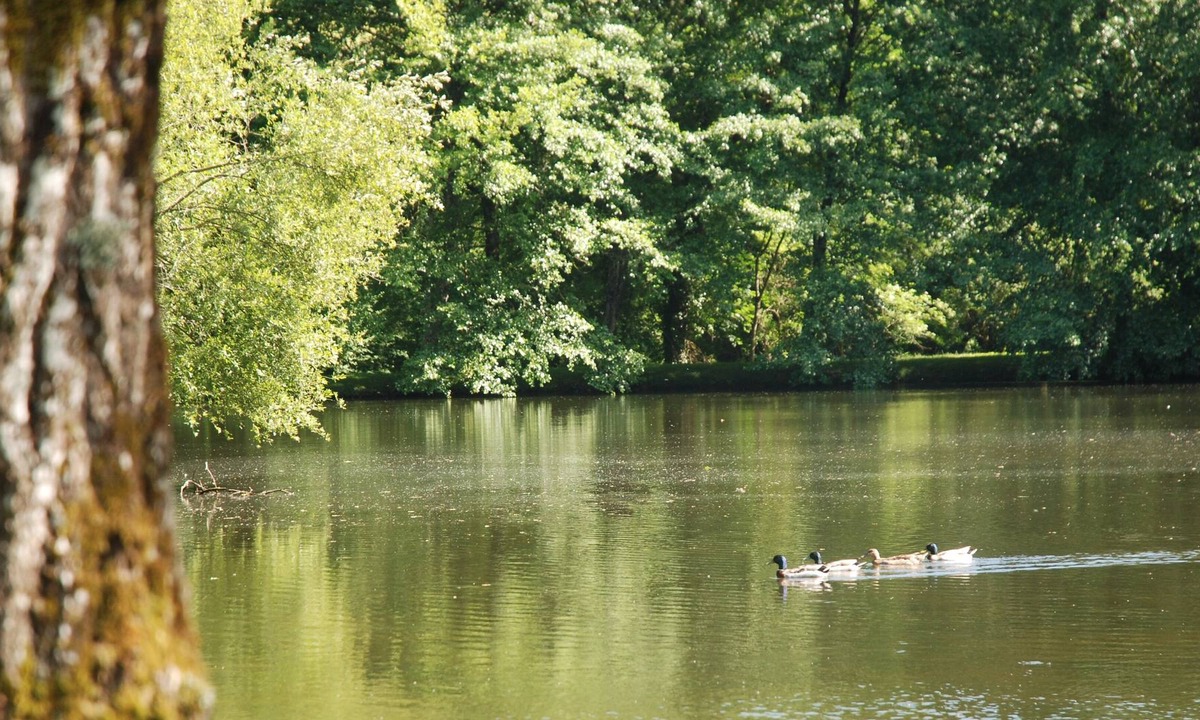 Frejairolles Hotel | Domaine du Grand Chêne