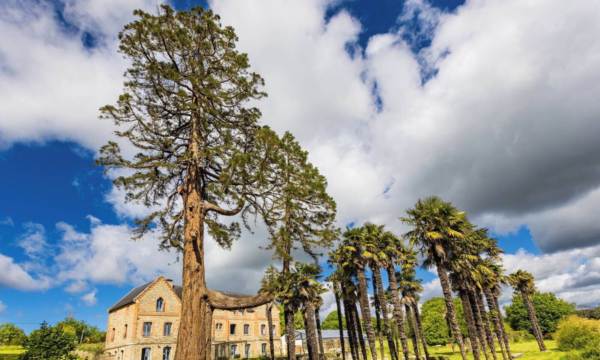 Crach House | Domaine du Plessis Kaër.