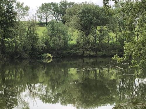 Caraman House | domaine en castanet