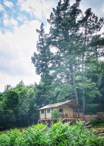 Ucciani House | Domaine l Alba Scelta