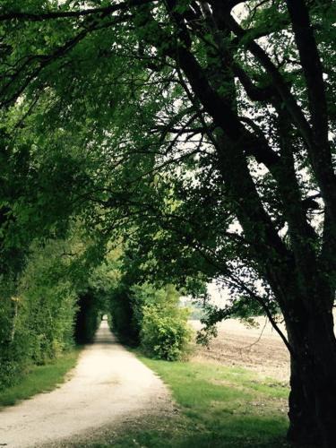 Le Cler House | Domaine Le Rolant