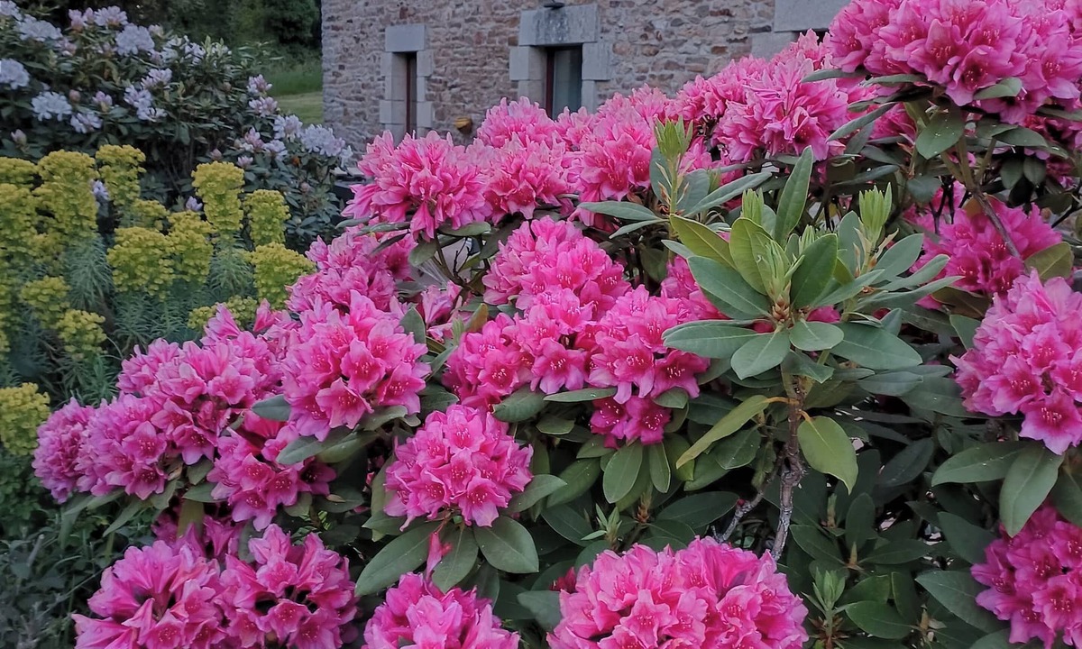 Pluvigner Bed & Breakfast | Domaine Minio Bihan