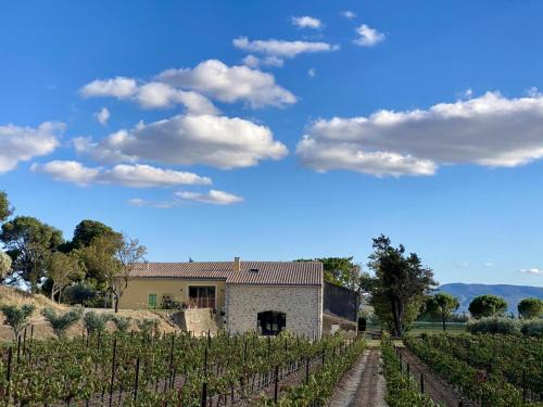 Rieux-Minervois House | Domaine Saint Antoine