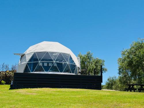 Mangonui Other | Dome on Leccino