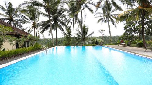 Banyuwangi Resort | Domisili Ijen Cliff By Fays Hospitality