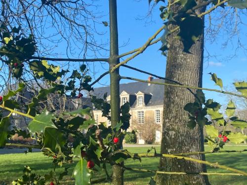 Avrille Apartment | Domitille