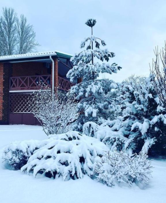 Romanovskaya Hotel | Donskaya Volna