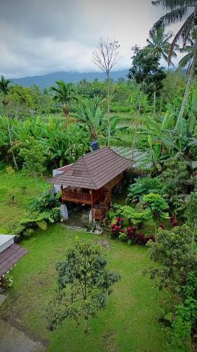 Kecamatan Pringgasela House | Dopi Rinjani Homestay