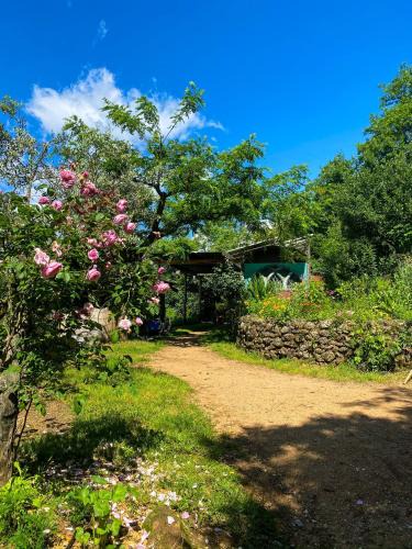 Chambonas Hostel | Dortoir dans la nature