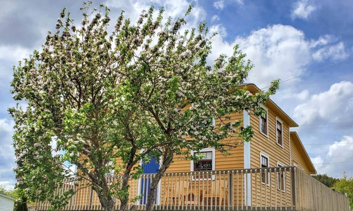 Lethbridge House | Dory Buff House