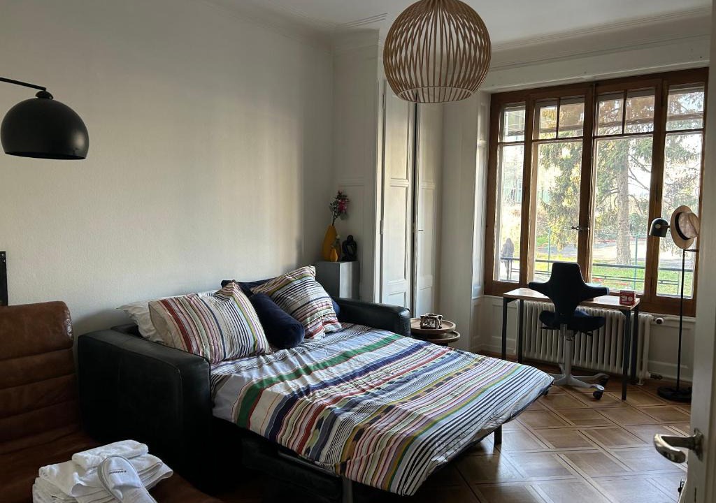 Secheron House | Doubleroom, Kitchen, free transport card- Geneva Lake
