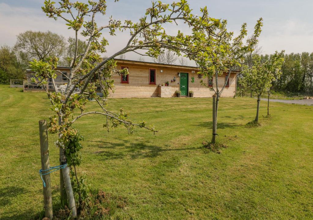 Congresbury House | Down the Rabbit Hole