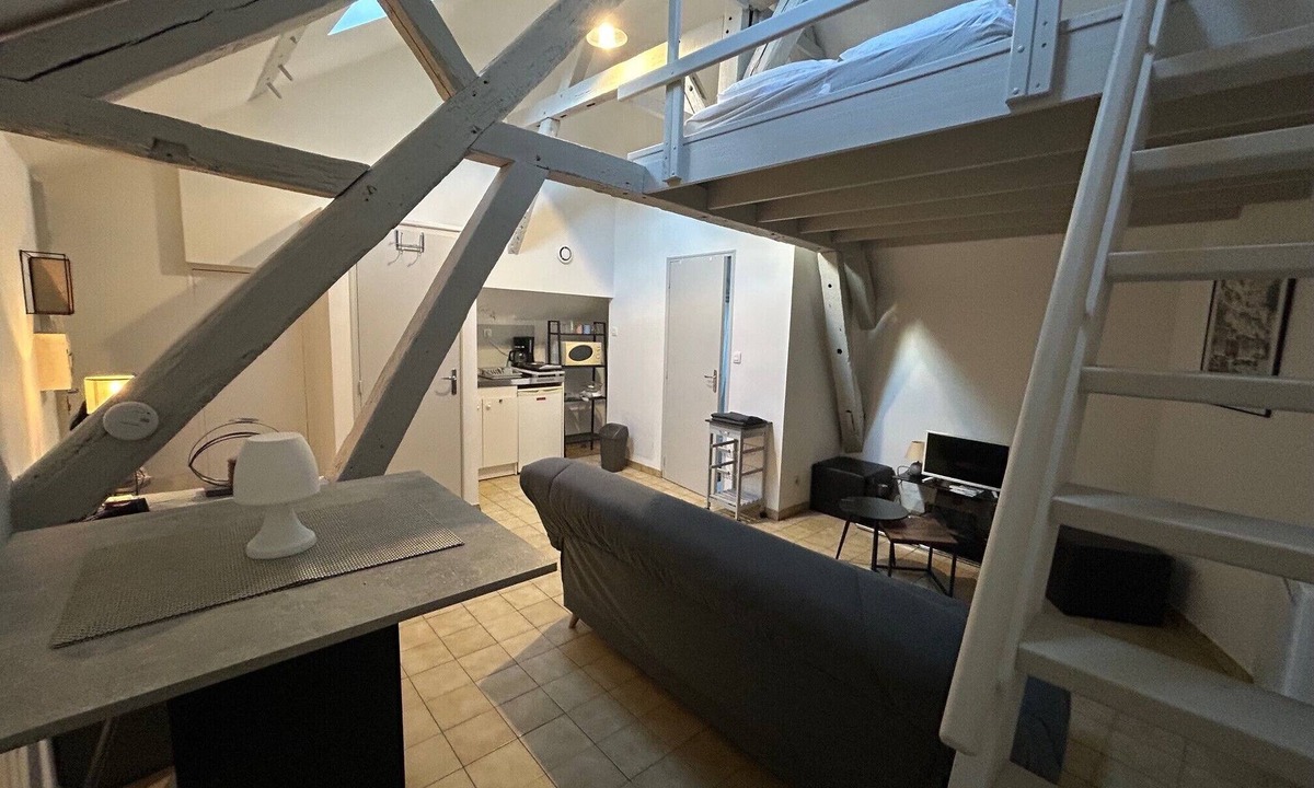 Chartres Apartment | Downtown apartment - Drouaise - mezzanine - sleeps 4