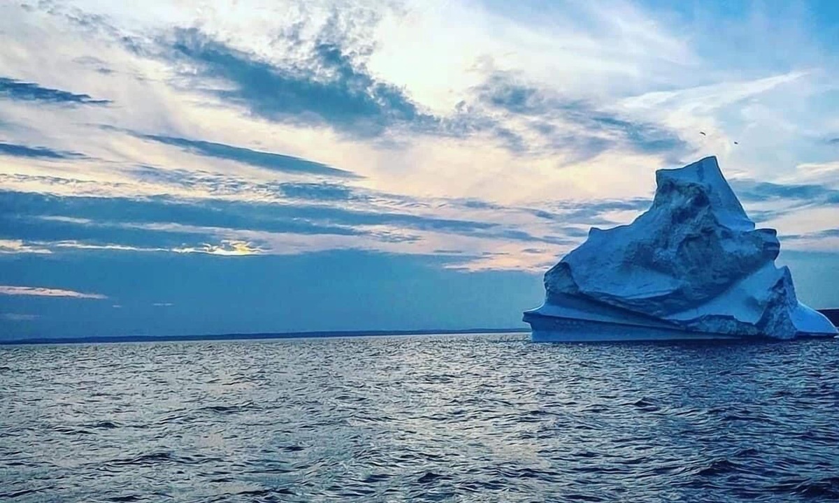 Downtown St. John's House | Downtown Getaway - 3 Bedrooms, 2.5 Baths