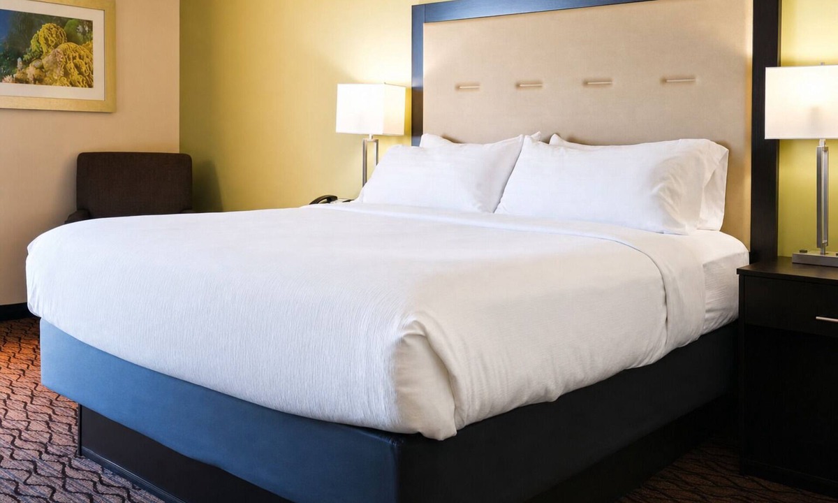Central City Hotel | Downtown Pet-Friendly Unit | Near Texas Surf Museum & Coastal Exhibits