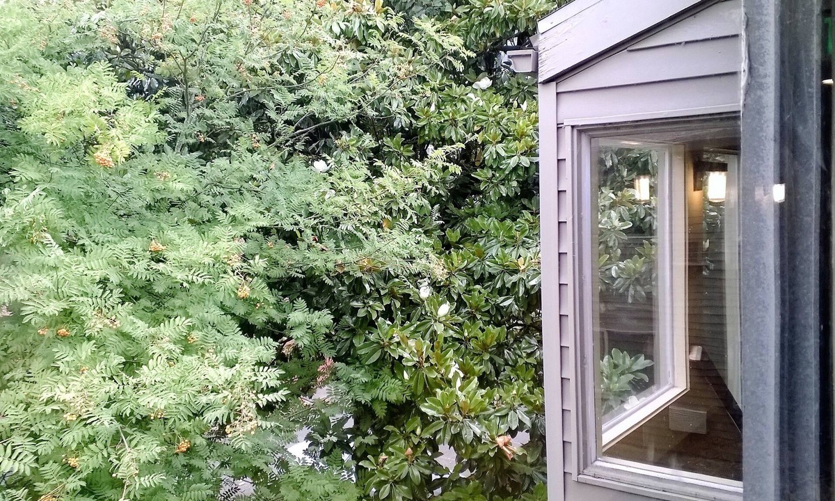 Downtown Portland Hotel | Downtown Value Inn