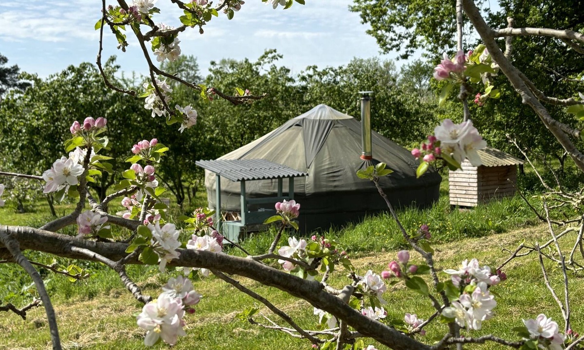 Ledbury Other | Dragon Orchard Retreat