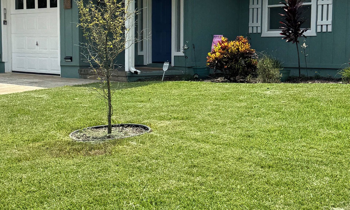 Holly Hill House | Dragonfly Landing: Close to Everything
