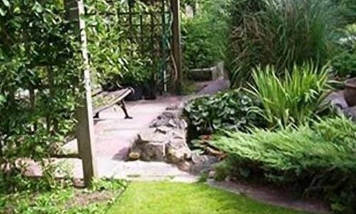 Saint Ann's Chapel Bed & Breakfast | Drakewalls Bed & Breakfast