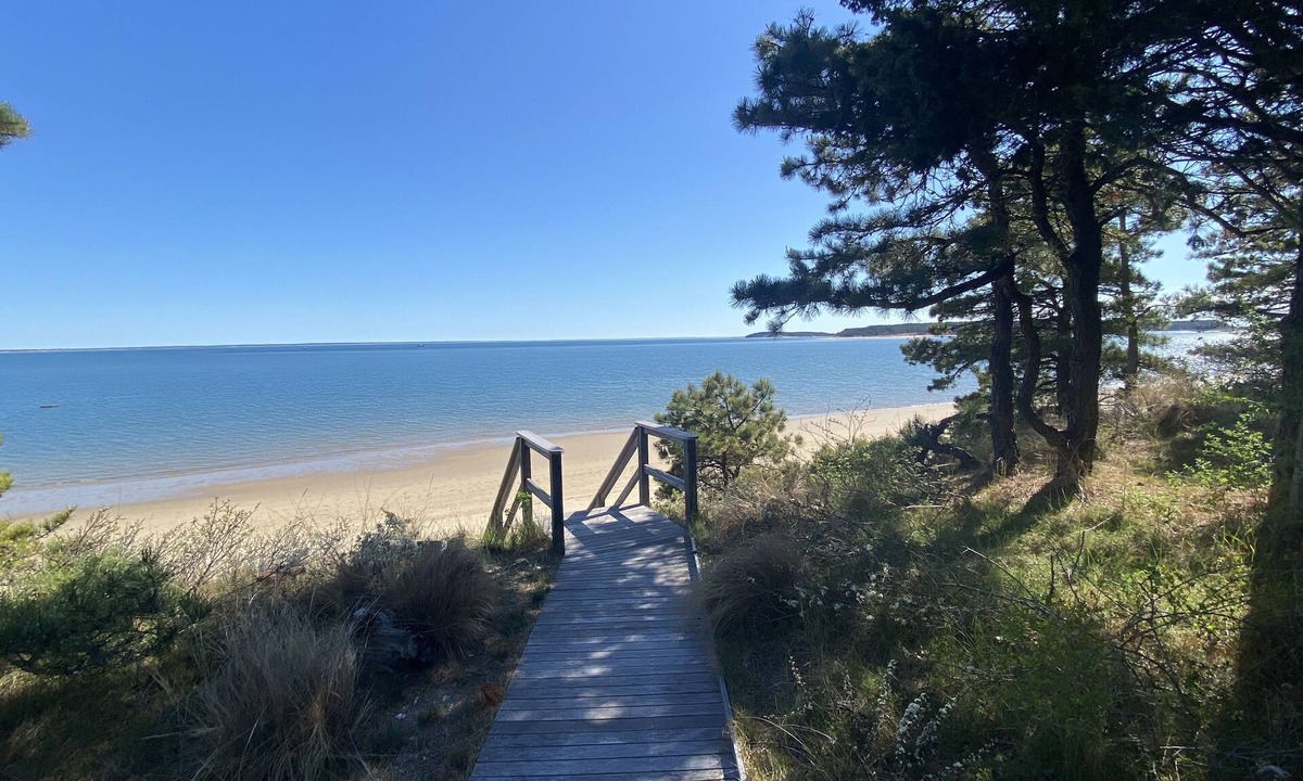 Wellfleet House | Dream Beach House on Mayo Beach Wellfleet Cape Cod