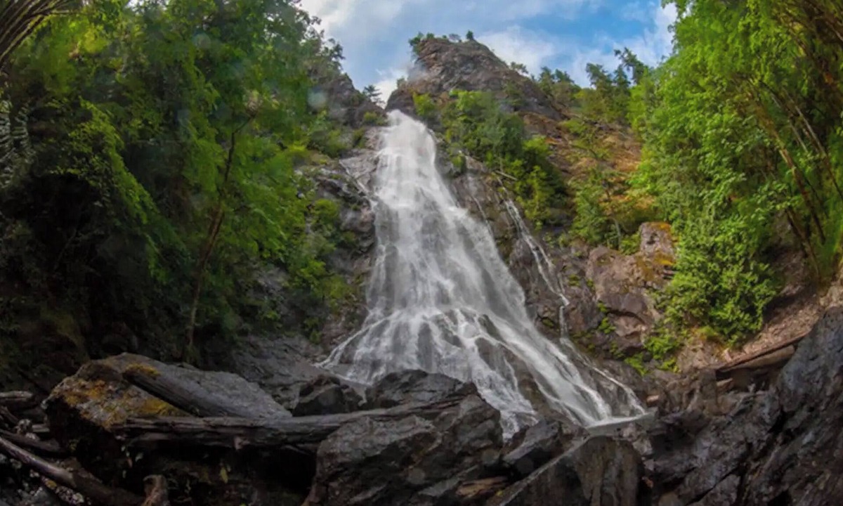 Brinnon Boat Rental | DreamBoat at Pleasant Harbor