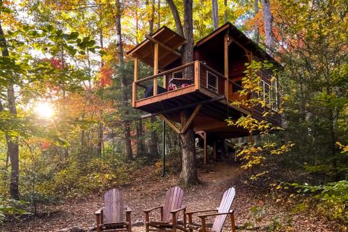 Copperhill House | Dreamy Treehouse Getaway Dog FriendlyDisc Golf