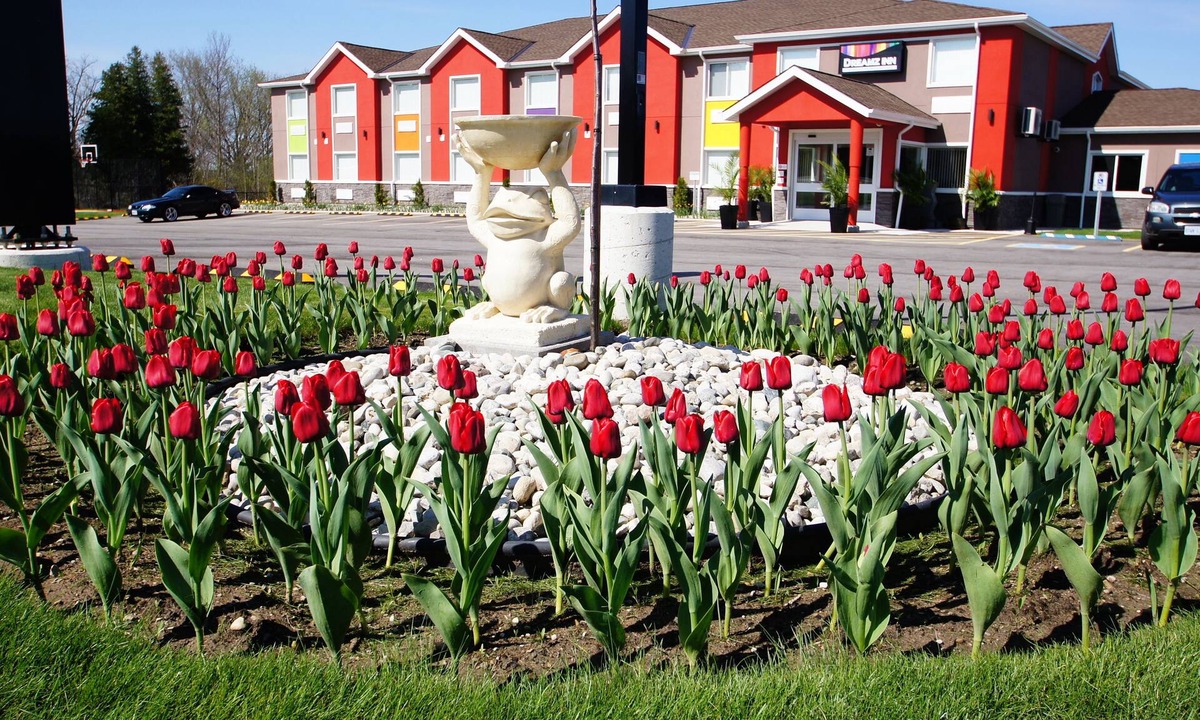 Central Huron Hotel | Dreamz Inn