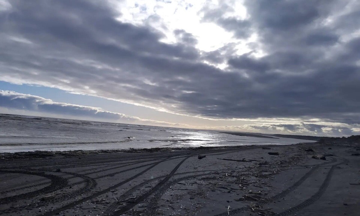 Koitiata House | Drift Inn Romantic seafront entire beach house.