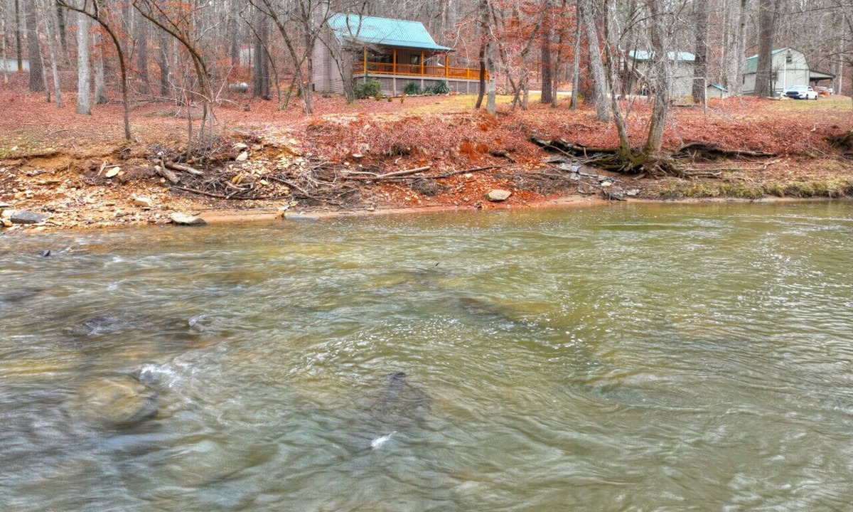 Talking Rock Cabin | Driftwood Cabin a waterfront cabin with everything