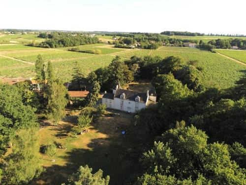 La Bernardiere House | Du Vignoble à l'Atlantique - Château Cassemichère gîte