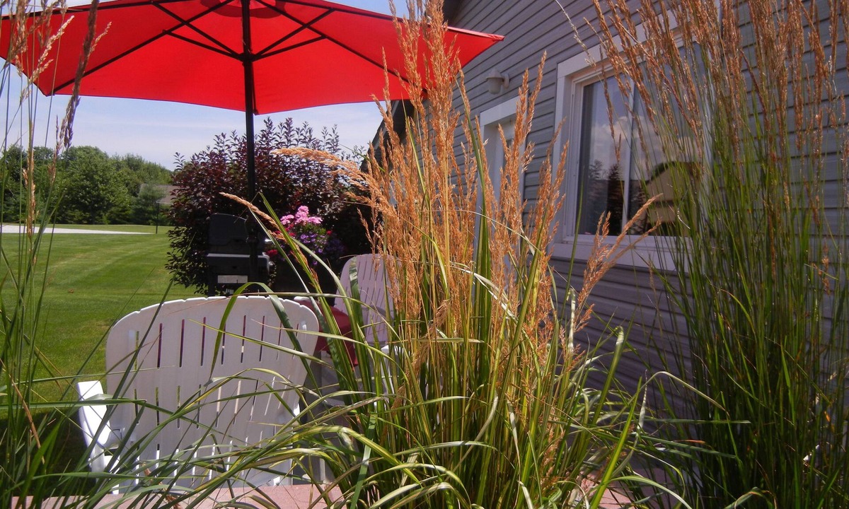 Ruthven Cottage | Duck Pond Bed & Breakfast Cottage