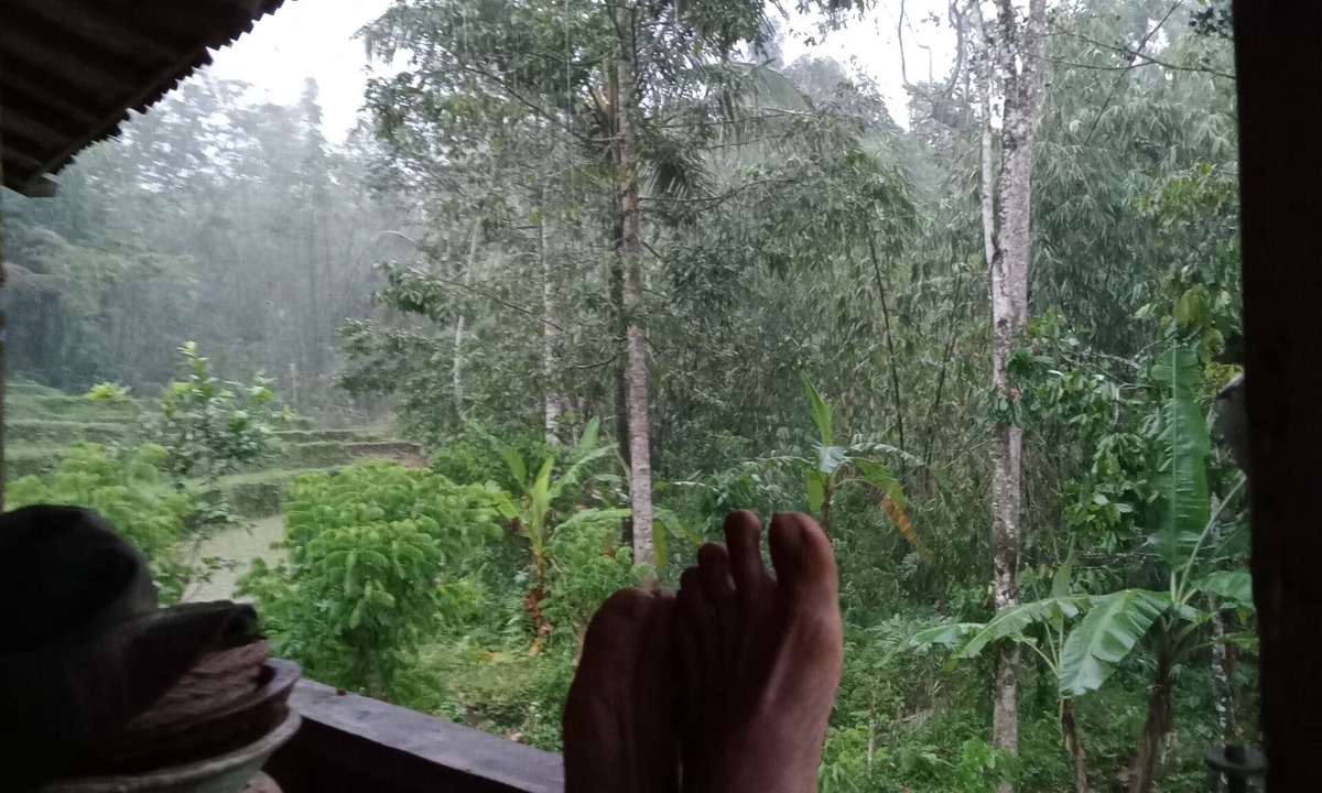 Wongaya Gede House | duegoal farmhouse