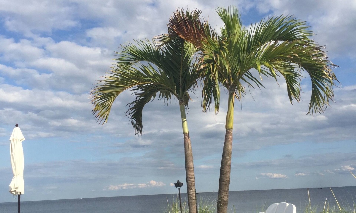 Milford House | Dulce La Donna by the beach