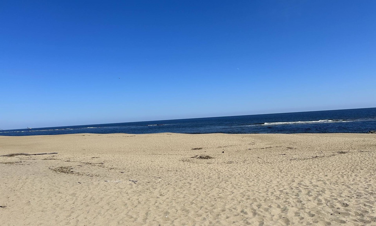 Newburyport House | DUNESCAPE - Oceanfront -Vacation Retreat!