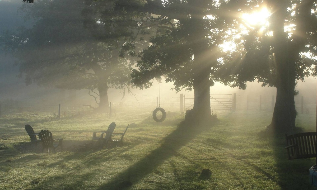 Fintry Bed & Breakfast | Dunroamin