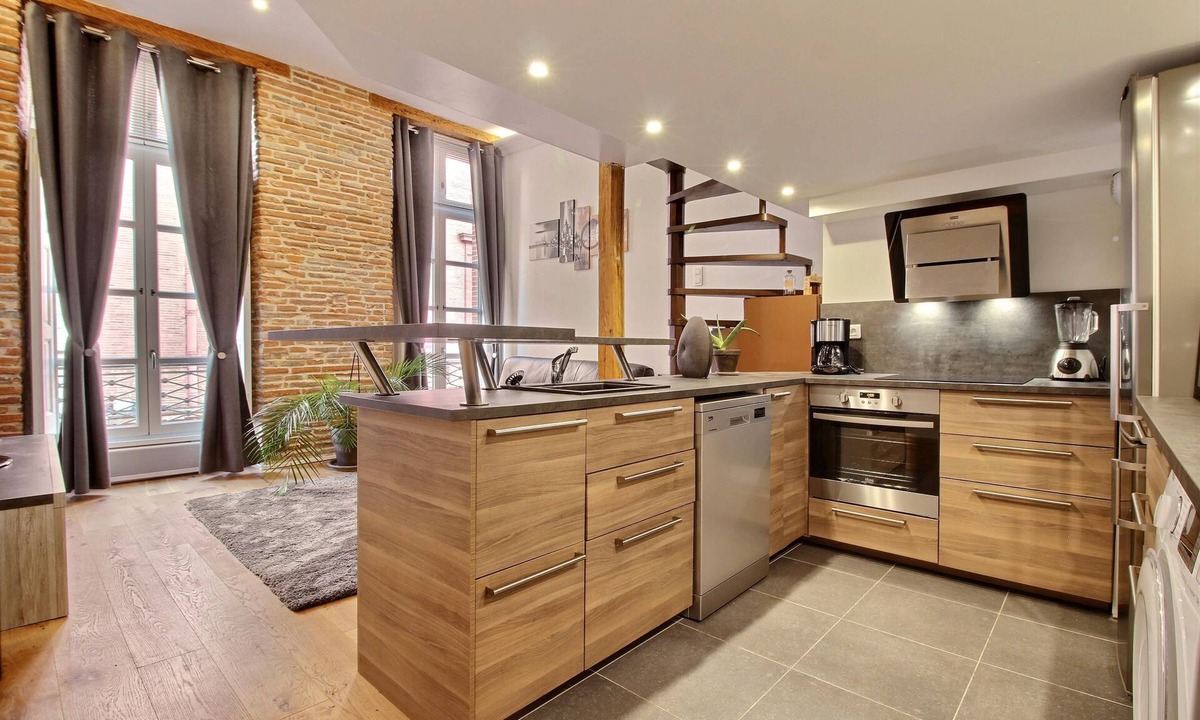 Arnaud Bernard Apartment | Duplex Hyper Center Place Capitole, Panoramic view.